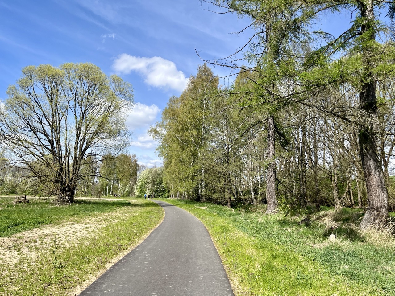 Pelhřimov – výstavba cyklostezky v úseku Polní Dvůr – Vokov - Straßen- und Brückenbau